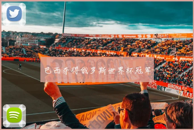 巴西夺得俄罗斯世界杯冠军