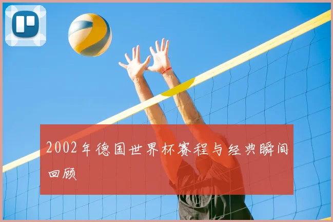 2002年德国世界杯赛程与经典瞬间回顾
