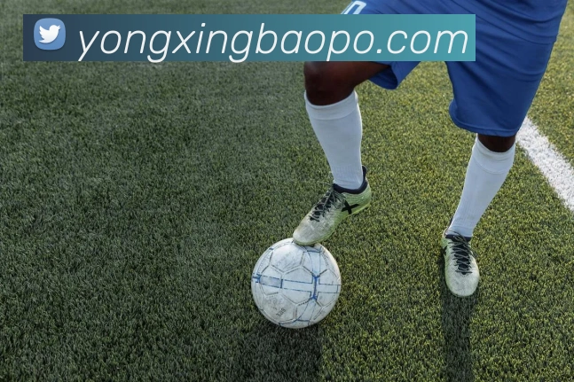 世界杯平台官网登录服务体系